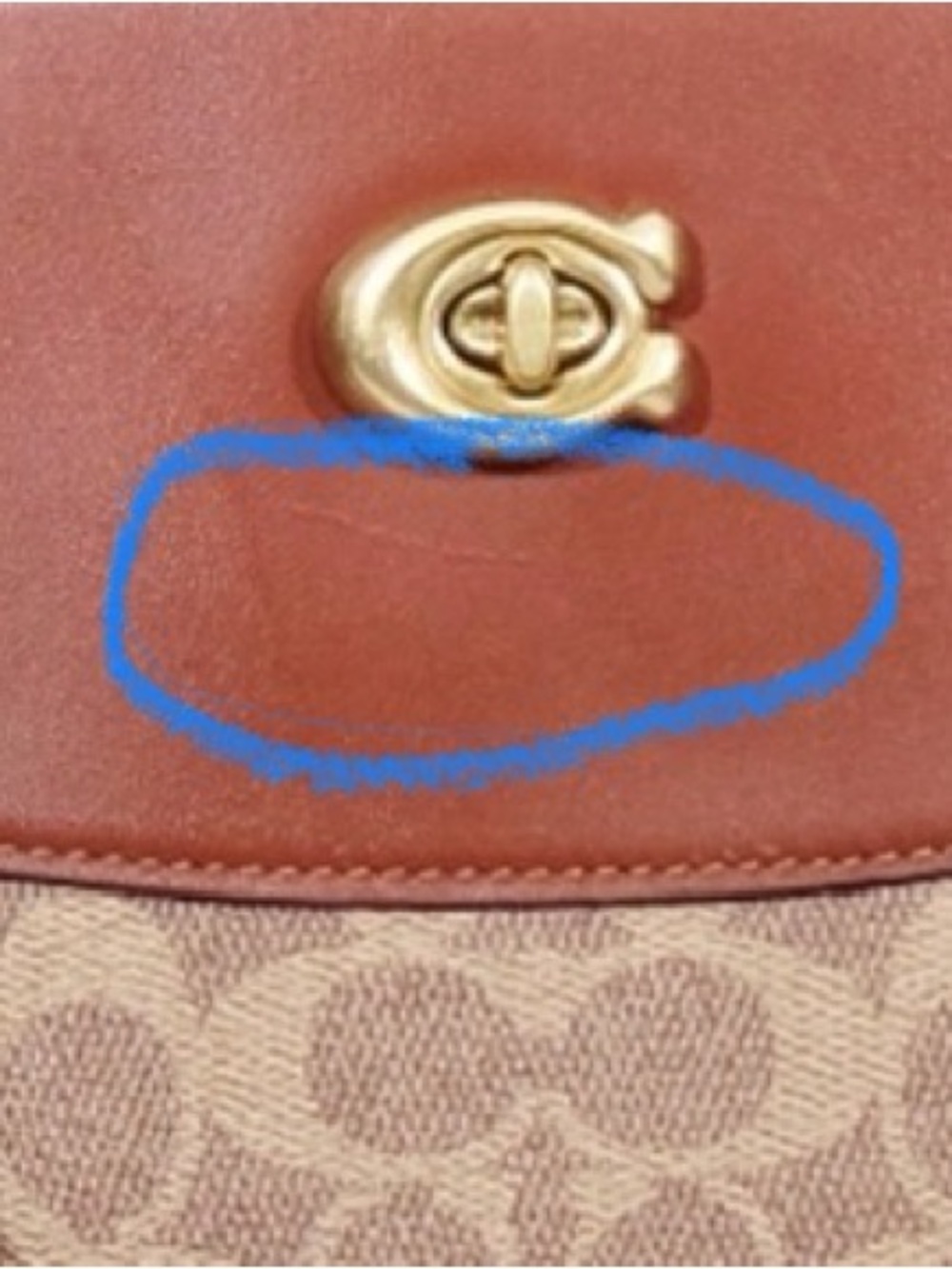 COACH BROOKE CARRYALL “LIKE NEW” - Picture 7 of 13